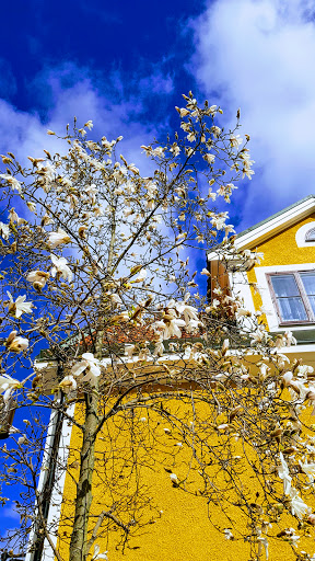 Wissings Guld AB Gallery - Sweden