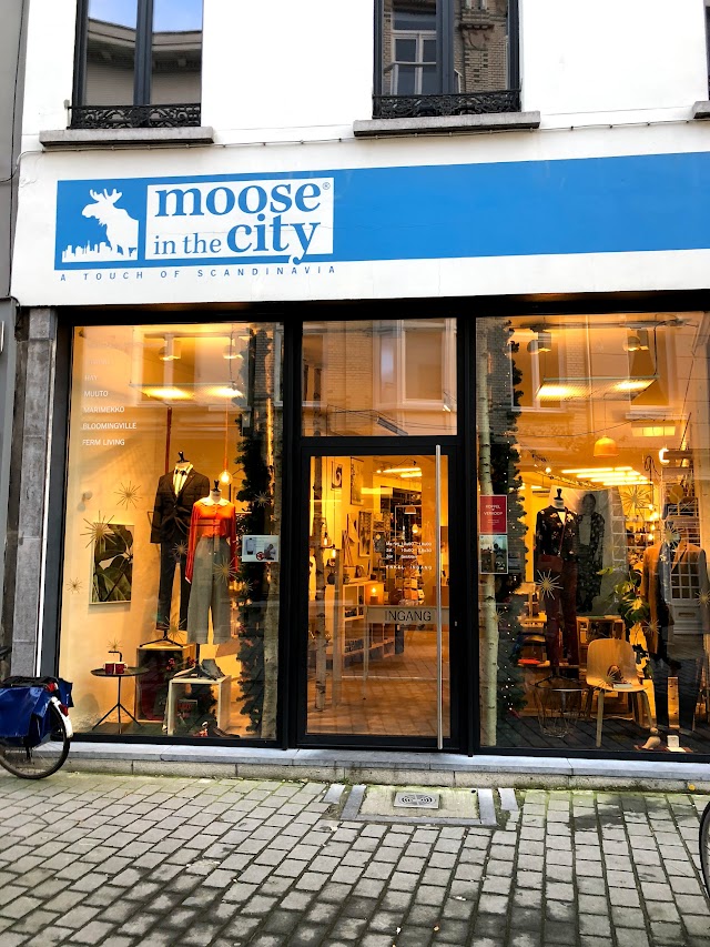 MOOSE in the CITY