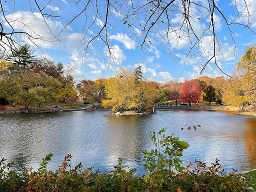 Lords Park - Visual