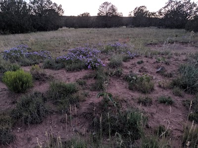 Torrance County Park