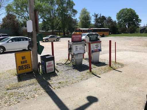 Verne Store - Thumbnail