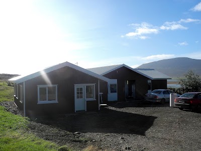 Photos of Icelandhorsetours