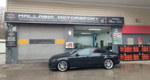 Mallabia Motorsport Logo