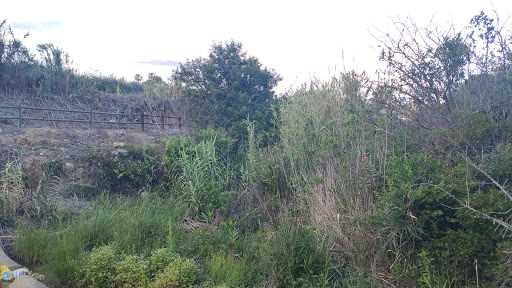 Pañuela - Visual