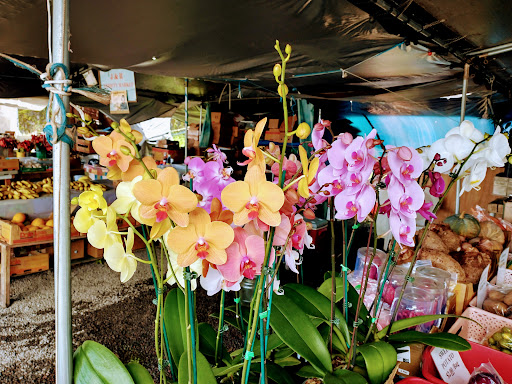 Kea au Farmers Market