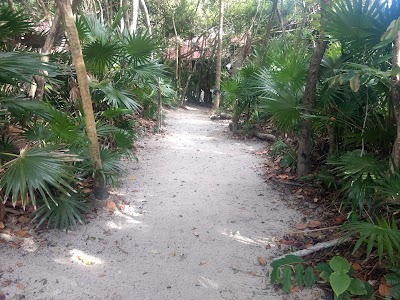 Photos of Jungle Jeanie's By The Sea