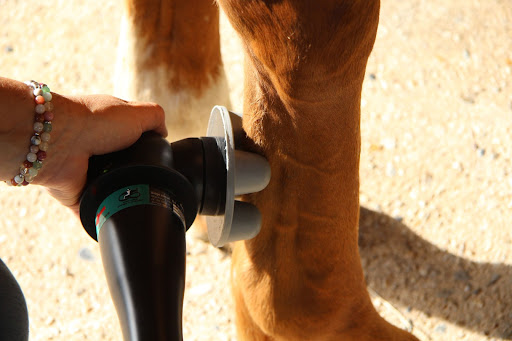 Opti'Mum Centre De Bien Etre Equin - Thumbnail