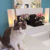 ペットセレモニー湘南