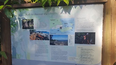 Photos of Cape Hillsborough Nature Tourist Park