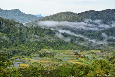 Photos of Kebun Teh Danau Kembar Talang, Kab. Solok