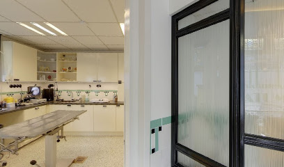 Dier en Dokter - Eindhoven Stratum
