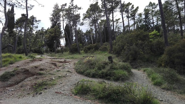 Parco di Galceti