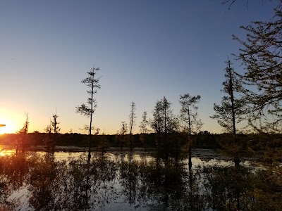 The Iatt Lake Observation Pier