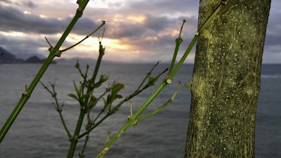 Photos of Castellino