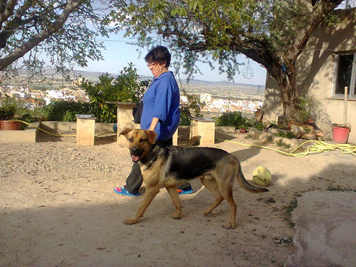Hotel para perros Cinocan Residencia Canina y Felina
