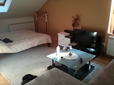 Photos of Casa United Apartments