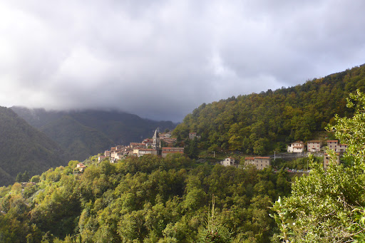 Volegno - Visual