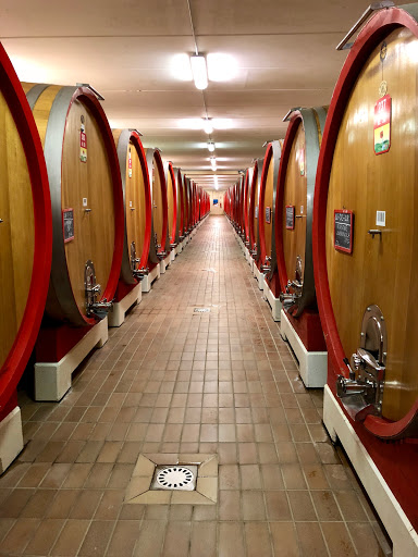Wine Shop Domìni Veneti Negrar - Thumbnail