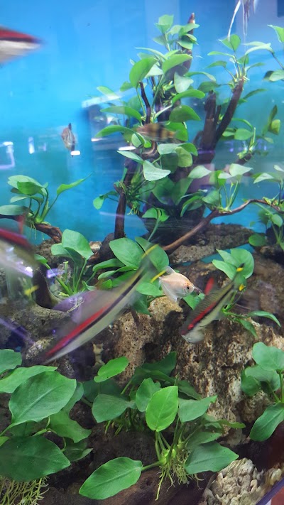 Photos of Toko Pancing & Aquarium Kalingga