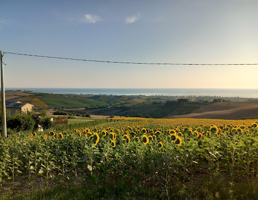San costanzo