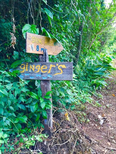 Photos of Ginger's Paradise