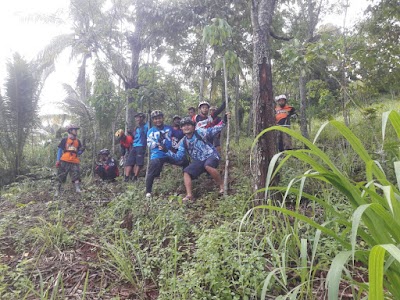 Photos of Gunung Tamiang