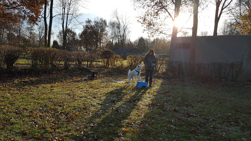 K9 Campus - Visual