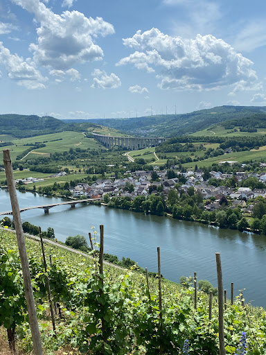 Weingut-Vinothek Schlöder-Thielen Alte Burg Longuich - Thumbnail