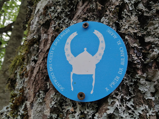 Monte Chiodo - Thumbnail
