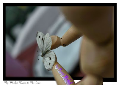 painter