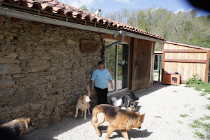 Photo n°16 de Marty & Cie à Nescus (Pension pour chiens)