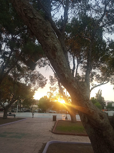 Guanajuato Neighborhood Park