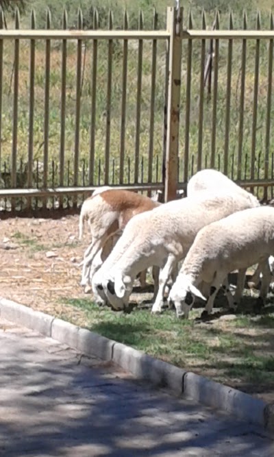 Photos of Poor Clare Sister Monastery, Windhoek