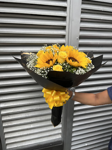 Cl. 3 Sur # 4 -36, Pitalito, Huila