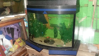 Photos of Samudra aQuarium