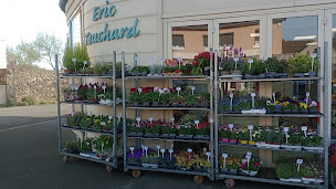 Photo n°38 de Famille Touchard - Fleuriste à Le Mans (Prestataire de mariage)
