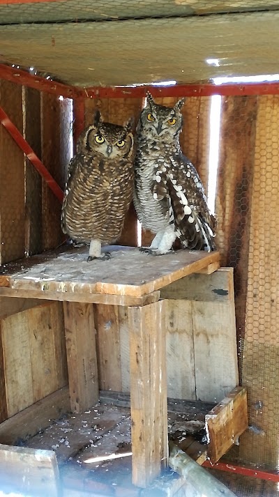 Photos of Zanchieta Wild Cat Farm
