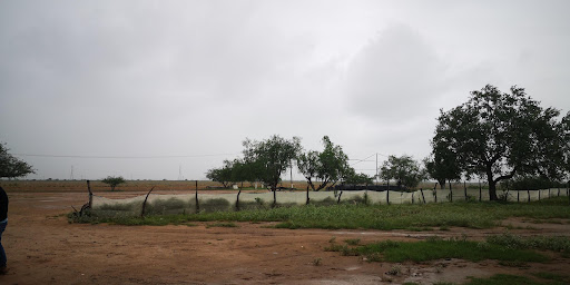 La Mesteña - Visual