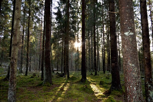 White Lake Nature Trail