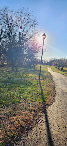 Miller Park Walking Track - Thumbnail