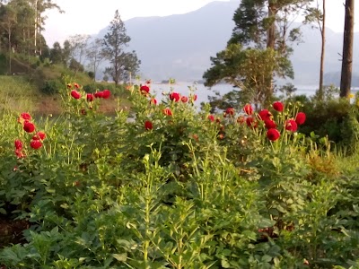 Photos of Saman Devalaya