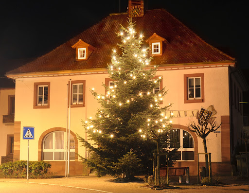 Gemeindeverwaltung Wiernsheim - Thumbnail