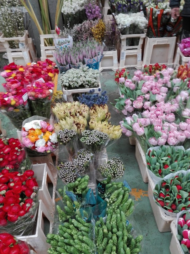 Mercato Floricolo