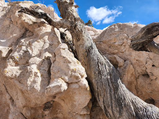 Pine Park Campground - Visual