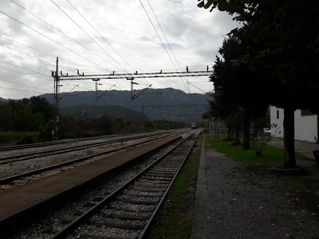 Virpazar Train Station