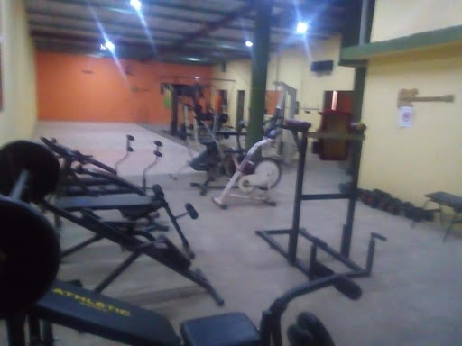 Gym MARG - Thumbnail