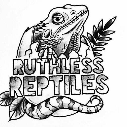 RUTHLESS REPTILES - Visual
