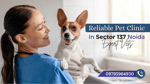 Reliable Pet Clinic in Sector 137 Noida with expert vets offering vaccinations, checkups, emergen… post image
