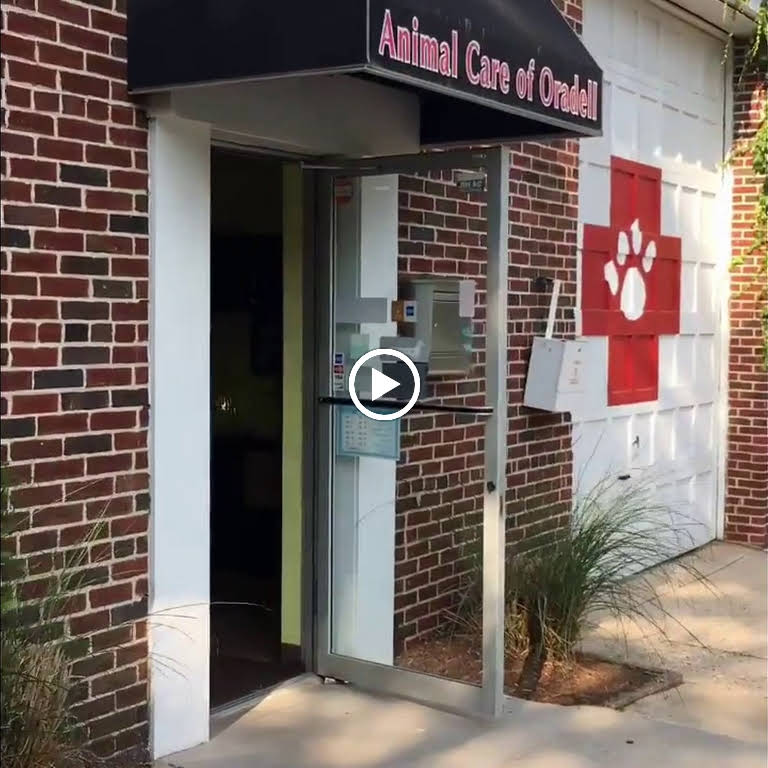 Animal Care of Oradell - Animal Hospital in Oradell