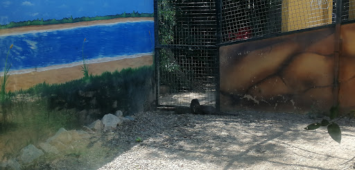 Nutria Logo